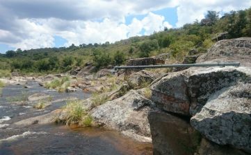 Sistema de Alerta Temprana de Crecientes de Ríos