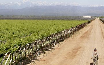 Mantenimiento de equipos instalados en Bodega Familia Zuccardi