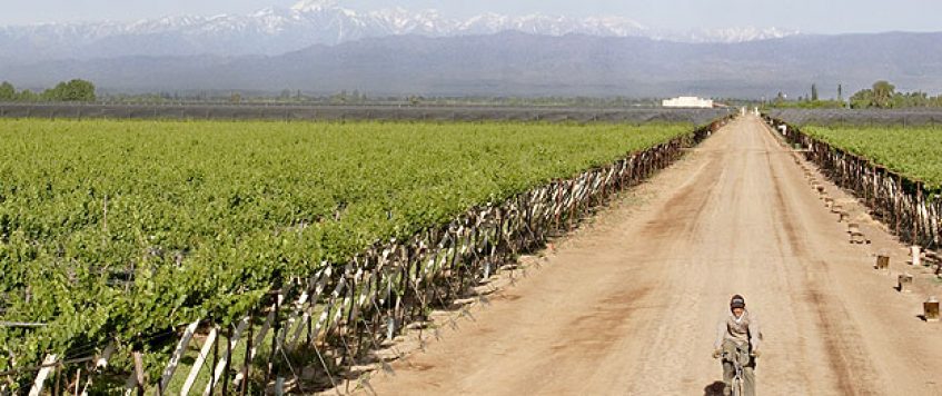 Mantenimiento de equipos instalados en Bodega Familia Zuccardi