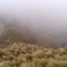 Servicio Técnico de Estaciones Meteorológicas en cualquier lugar y condición climática